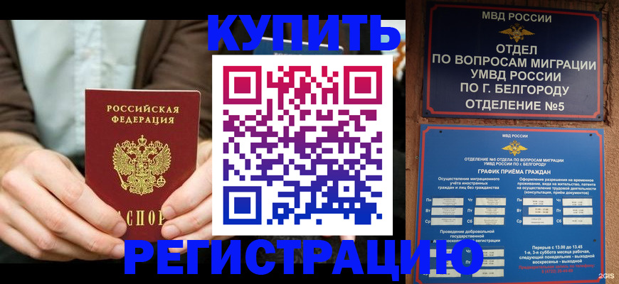 прописка 2025 в Зеленокумске